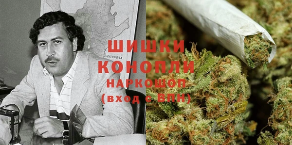 PSILOCYBIN Алексеевка