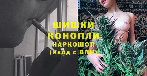 apvp Алзамай