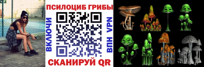 купить   Нюрба  даркнет как зайти  Псилоцибиновые грибы мицелий 