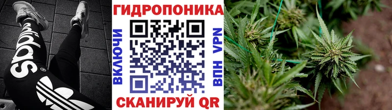 как найти наркотики  Нюрба  Бошки Шишки Bruce Banner 